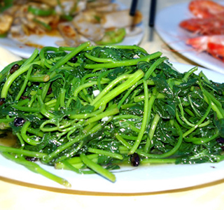 丙肝病人饮食