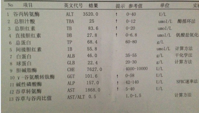 肝功能